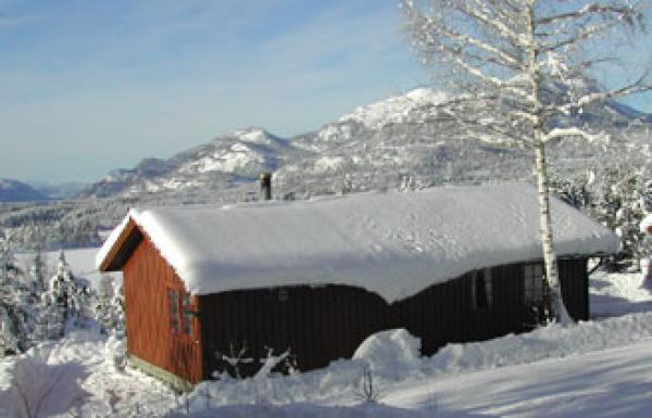Vradal, Telemark, Vacation Rental Chalet