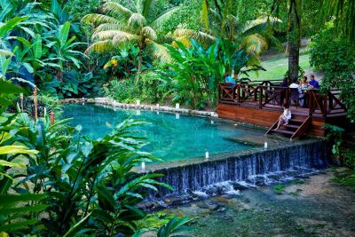 Tropical garden pool