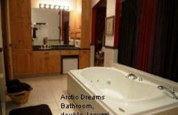 Arctic Dream Bathroom