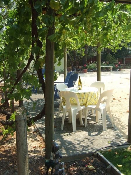 ENJOY A GLASS OF WINE UNDER THE ARBOR