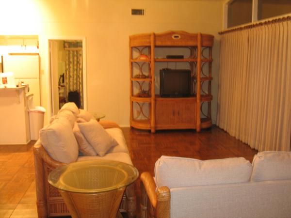 Another View of Living Area