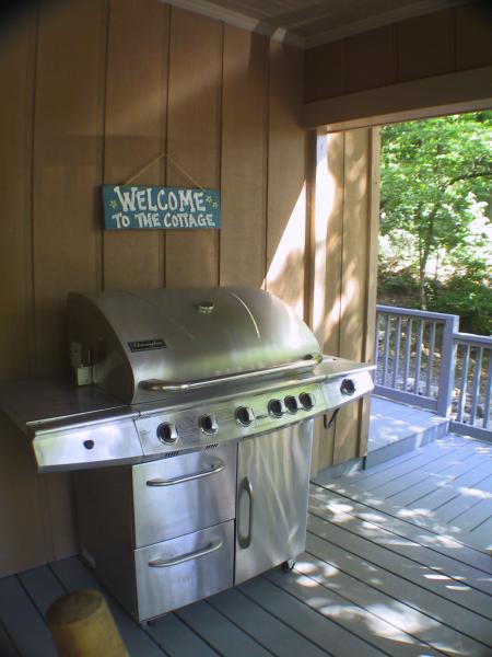 Full Size Gas Grill