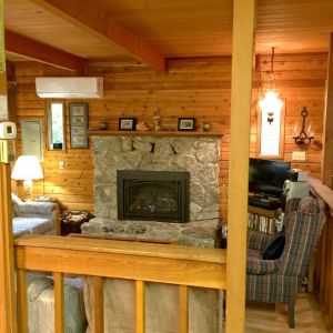 Snowline Cabin #35