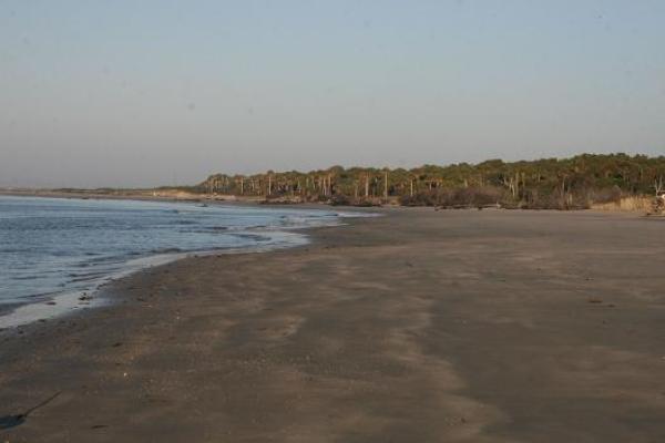 Dewees Island Beach