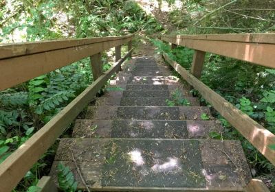 Community trail steps