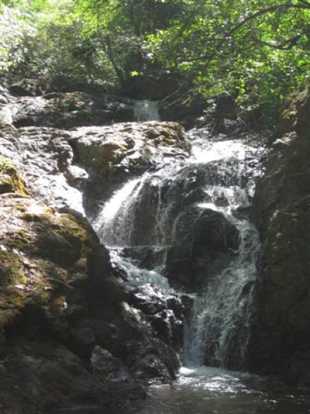 Waterfall Nearby