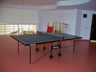 Oasis E 3 table tennis