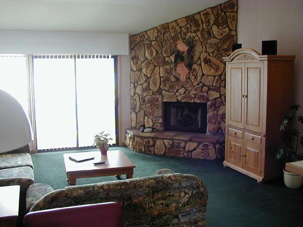 Living Room/ Fire Place