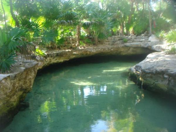 7435 Cenote