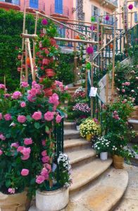 The beautiful Rose Festival and perfume capital of Grasse on our doorstep