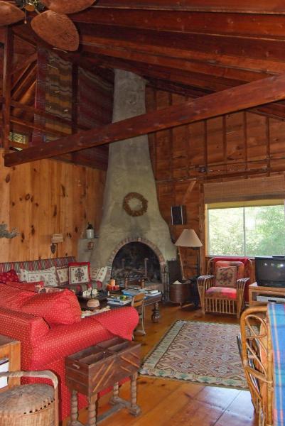 Living Room - fireplace