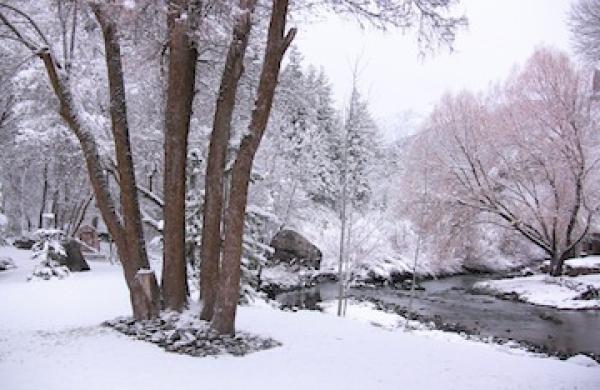 Backyard View of River in Winter