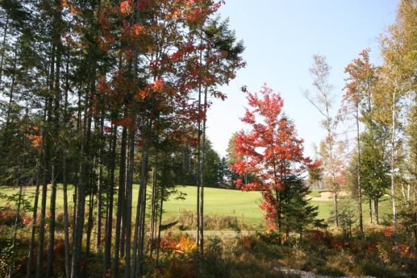 Fall view of Le Diable Golf course