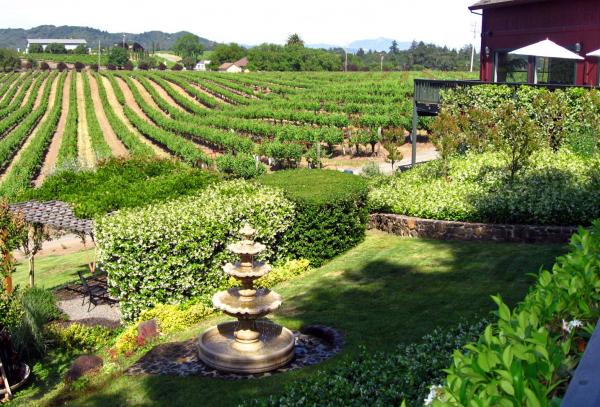60 wineries within 10 miles of Redwood Tree House