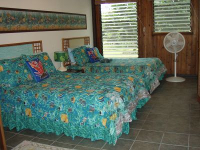 Downstairs bedroom with two double beds