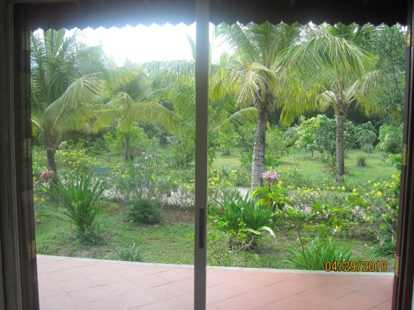 Room with Garden View
