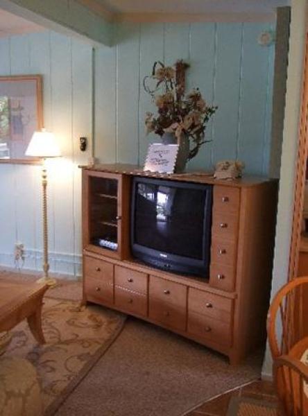 TV