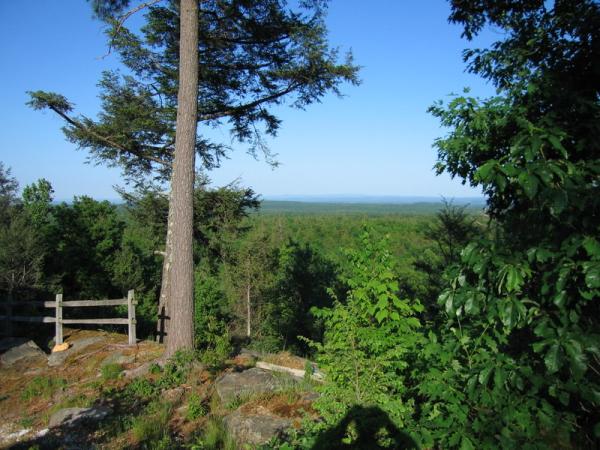 A 50 mile view