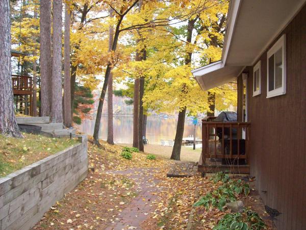 Fall colors