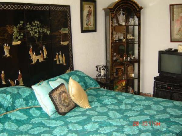 The China Room