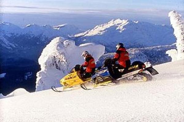 Activity in Snow
