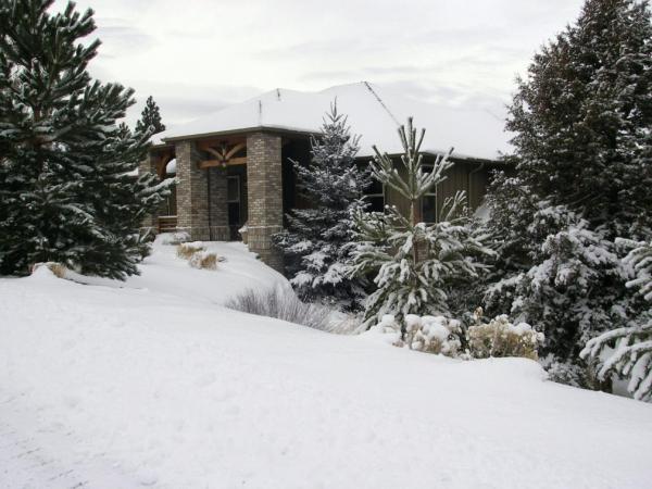 Winter Wonderland