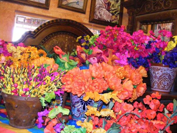 Beautiful Flowers