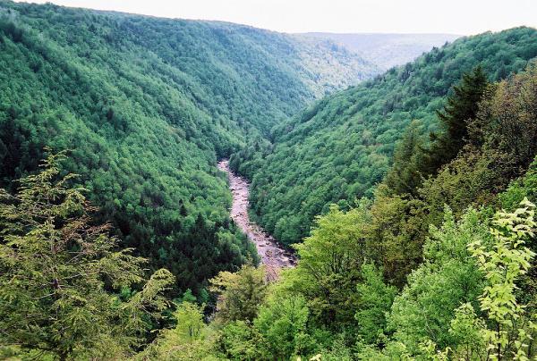 Blackwater Canyon