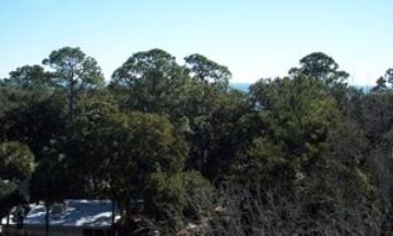 Hilton Head Island, South Carolina, Vacation Rental Condo