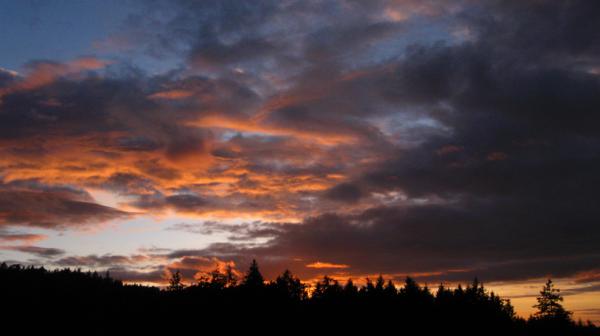 Sun Set View