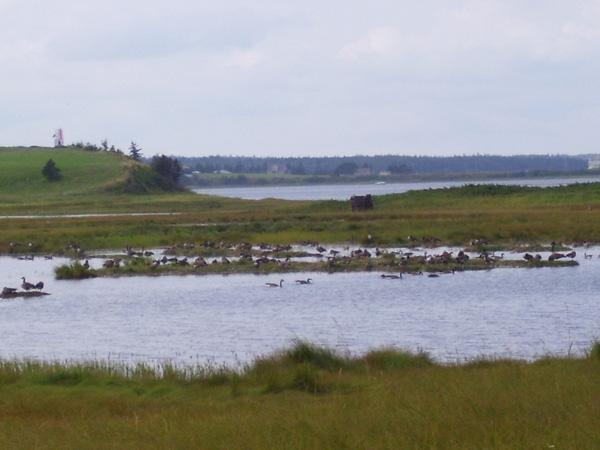 View