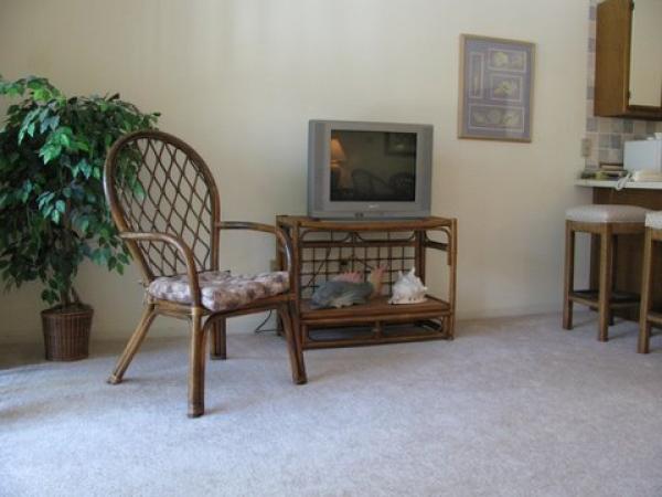 Entertainment Area