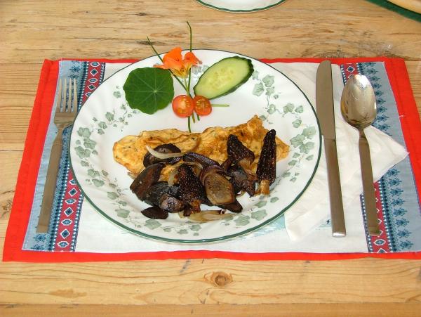 Our speciality, the wild mushroom/herb omelette