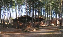 Hungry Horse, Montana, Vacation Rental Cabin