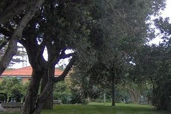 Marina di Pisa, Tuscany, Vacation Rental House