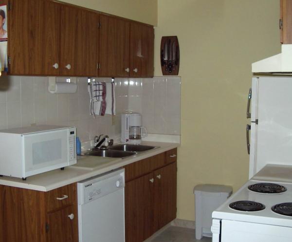 The fully equipped Kitchen