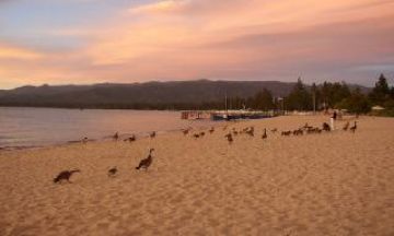 South Lake Tahoe, California, Vacation Rental Condo