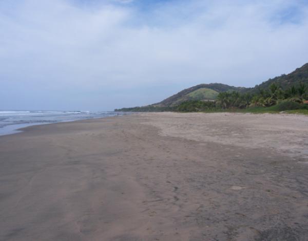 Beach View