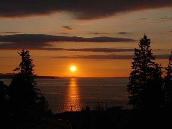 Sun Set View