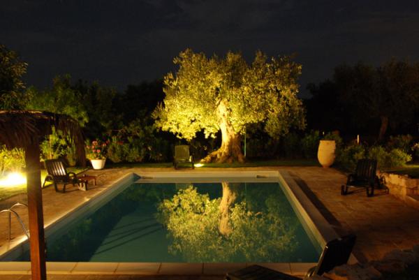 Swimming Pool in Night