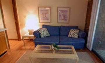 Kiawah Island, South Carolina, Vacation Rental Condo