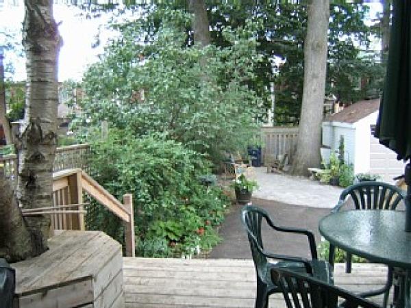 Back Yard and Garden