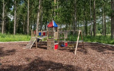 Woodland play area
