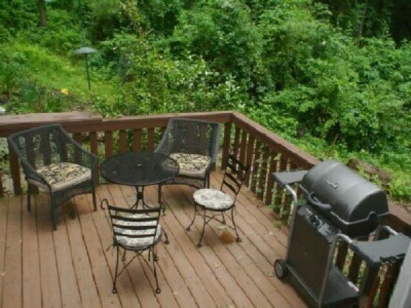 Back Deck & GasGrill