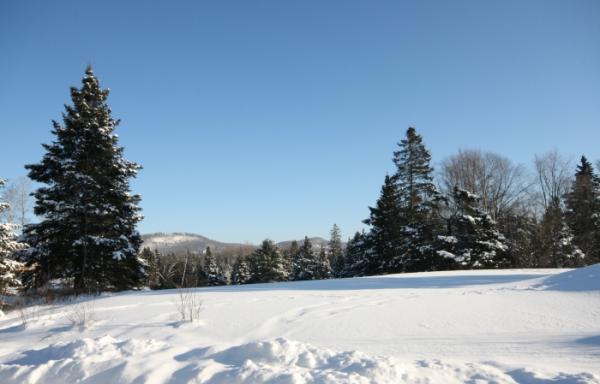 View of golf course
