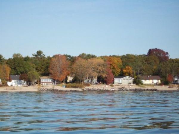 View in Fall