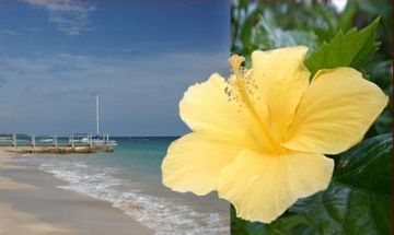 Runaway Bay, St. Ann, Vacation Rental House