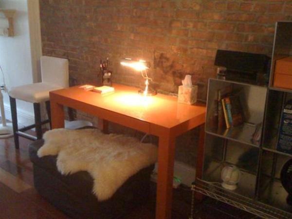 Study Area