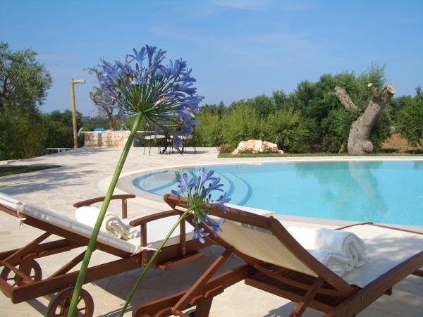 Garden and pool