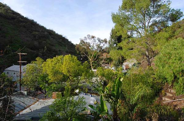 View From Upper Patio